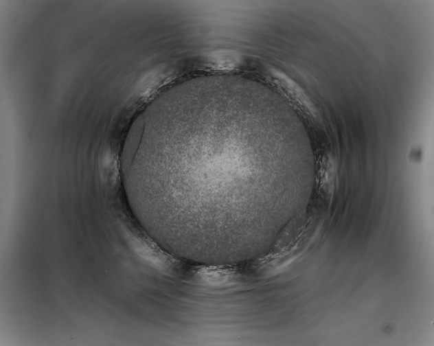 X0000098140568200804171550