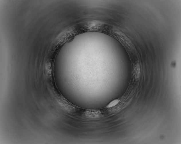 X0000098140571200804171550