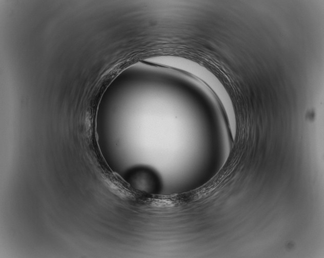 X0000098140572200804171550