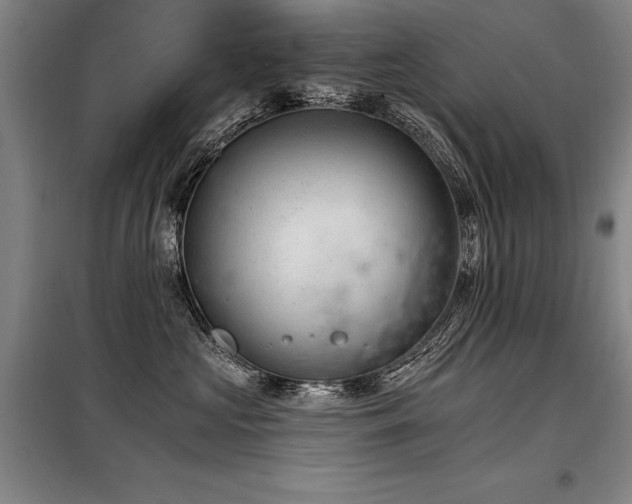 X0000098140573200804171550
