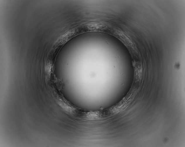 X0000098140574200804171550