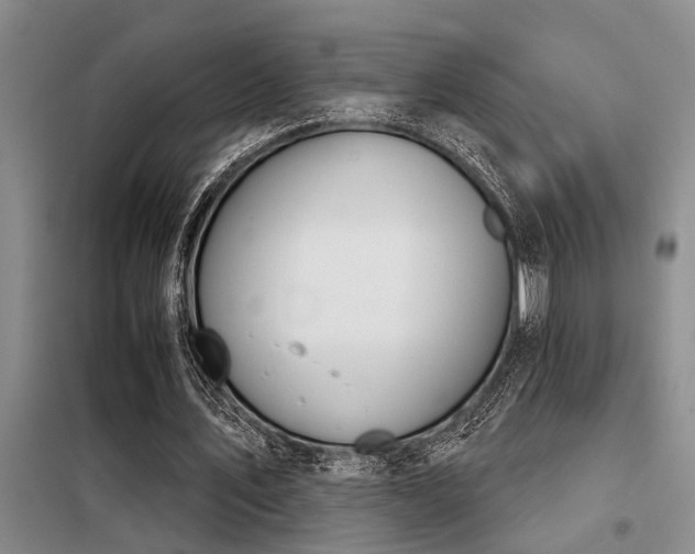 X0000098140579200804171549