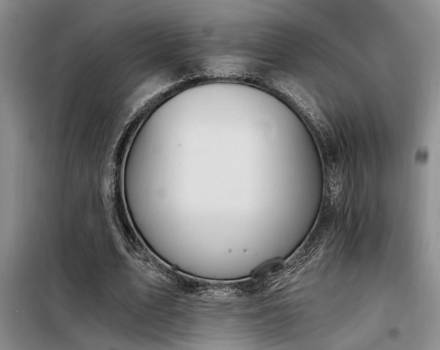 X0000098140583200804171549