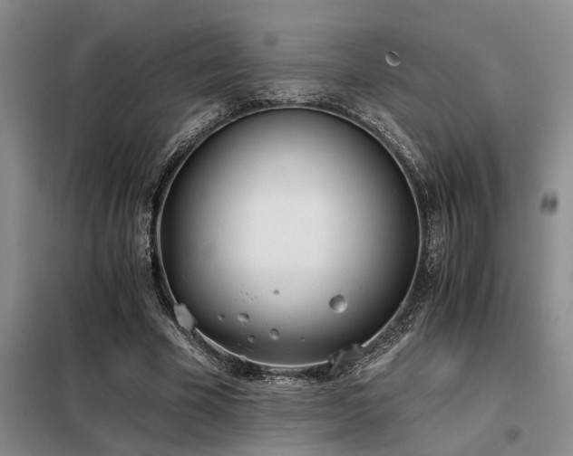 X0000098140585200804171549