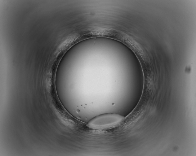 X0000098140586200804171549