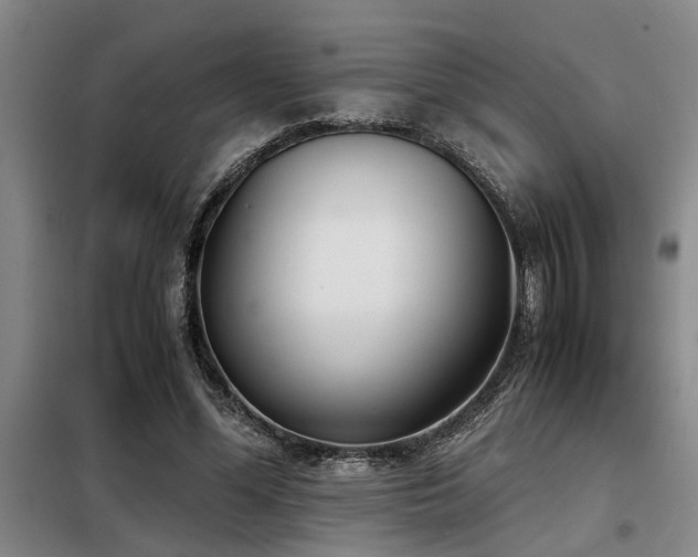 X0000098140588200804171549