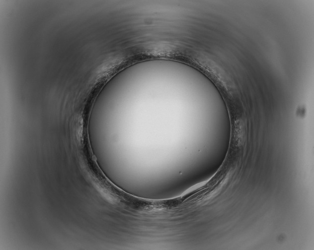 X0000098140589200804171549