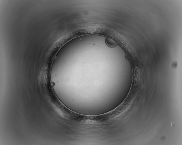 X0000098140590200804171549