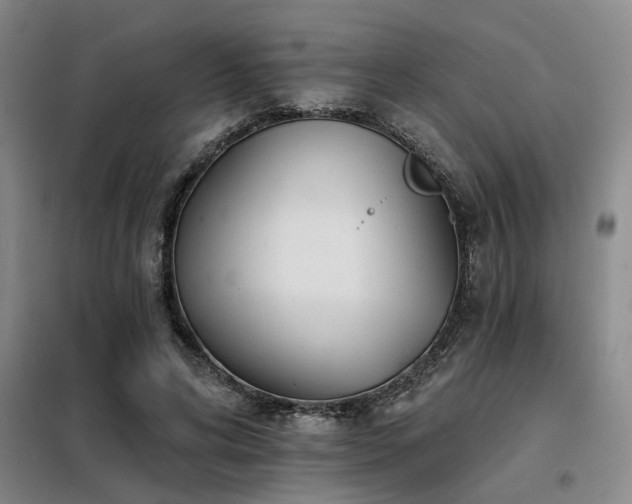 X0000098140592200804171549