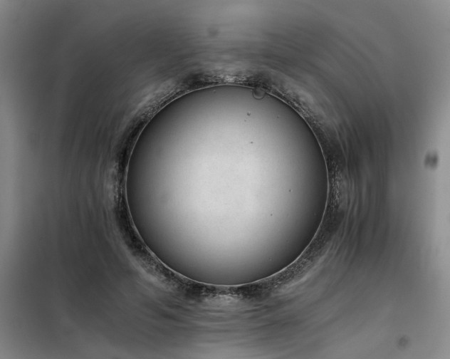 X0000098140594200804171549