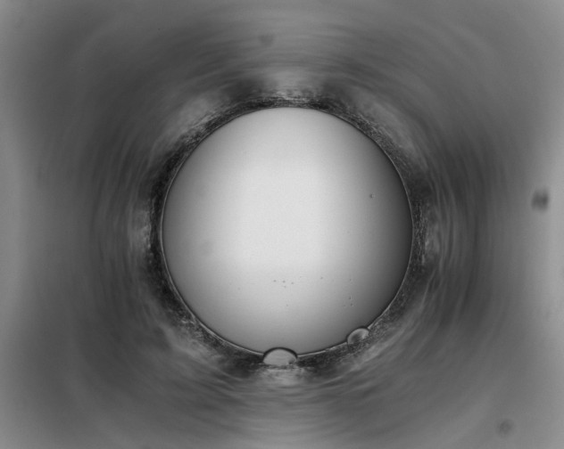 X0000098140595200804171549