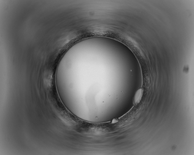X0000098140596200804171549