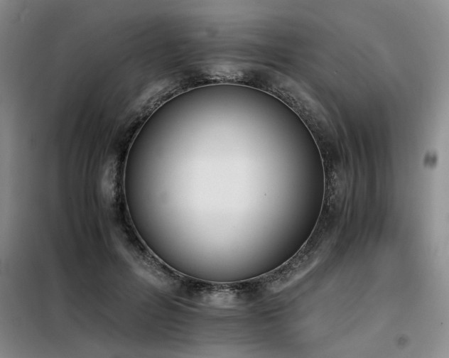 X0000098140600200804171549