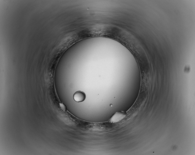 X0000098140601200804171549