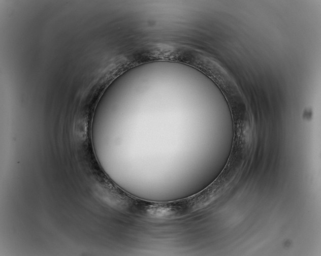 X0000098140602200804171549
