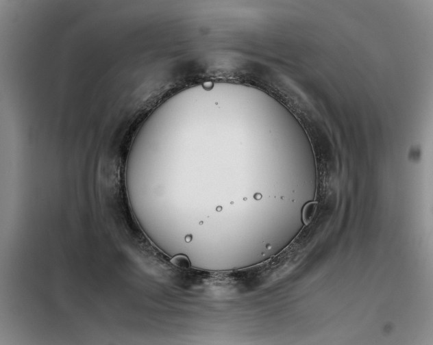 X0000098140603200804171549