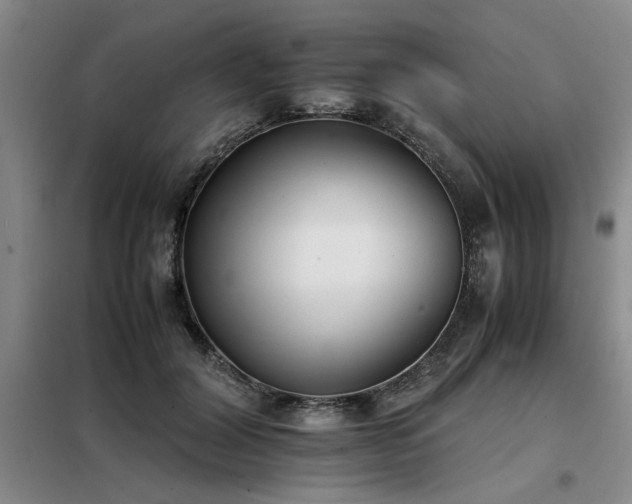 X0000098140604200804171549
