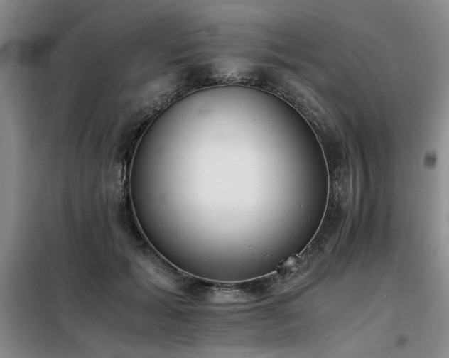 X0000098140605200804171549