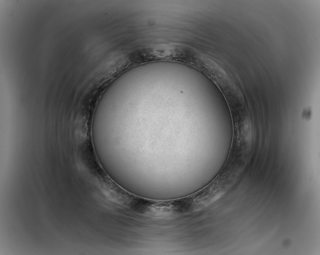 X0000098140606200804171549