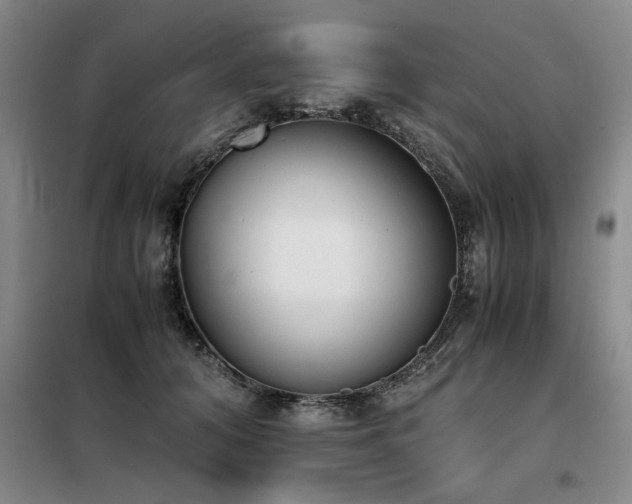 X0000098140608200804171549