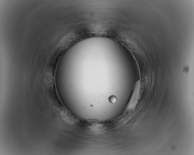 X0000098140609200804171549