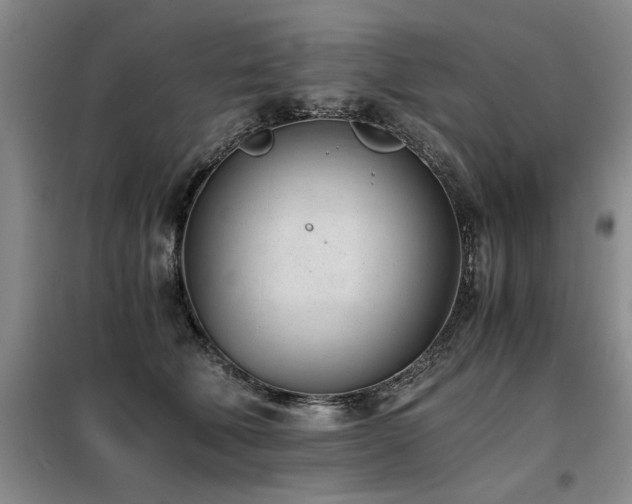 X0000098140610200804171549