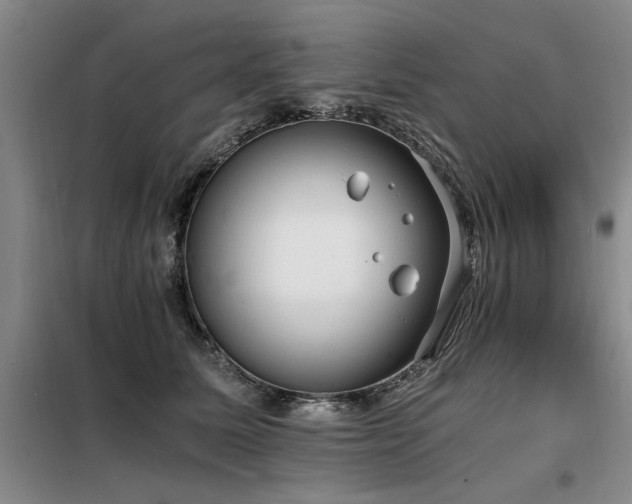 X0000098140611200804171549