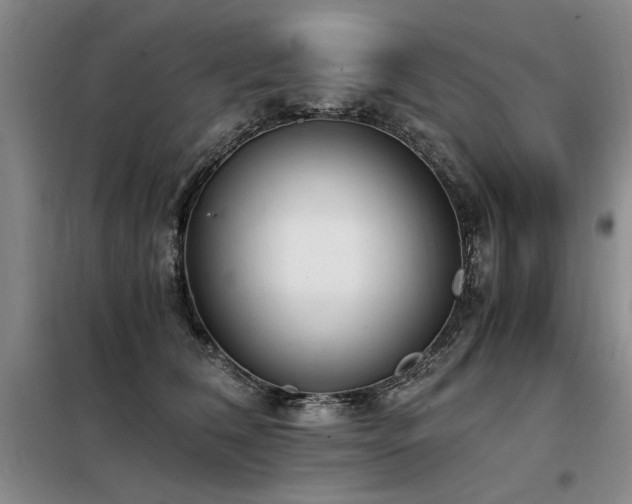 X0000098140612200804171549