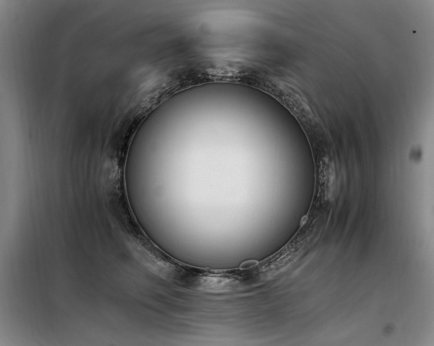 X0000098140614200804171548