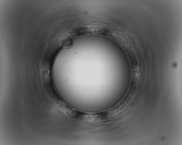 X0000098140615200804171548