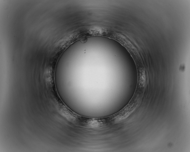 X0000098140616200804171548