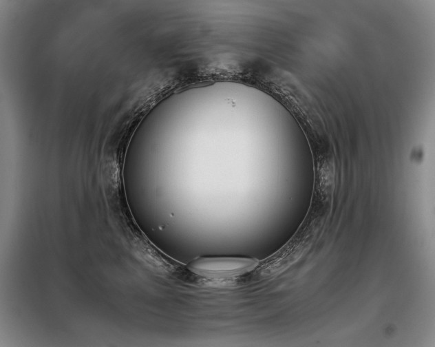 X0000098140617200804171548