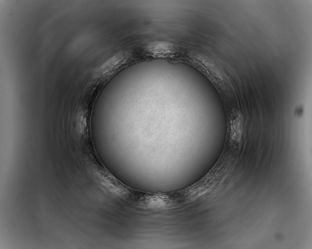 X0000098140618200804171548