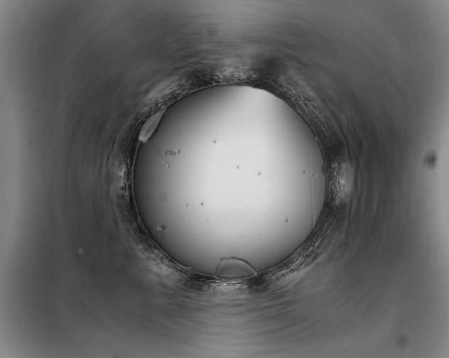 X0000098140619200804171548
