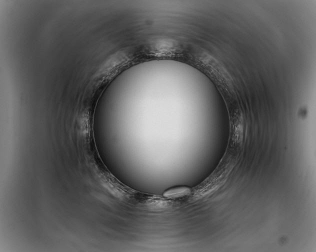 X0000098140620200804171548