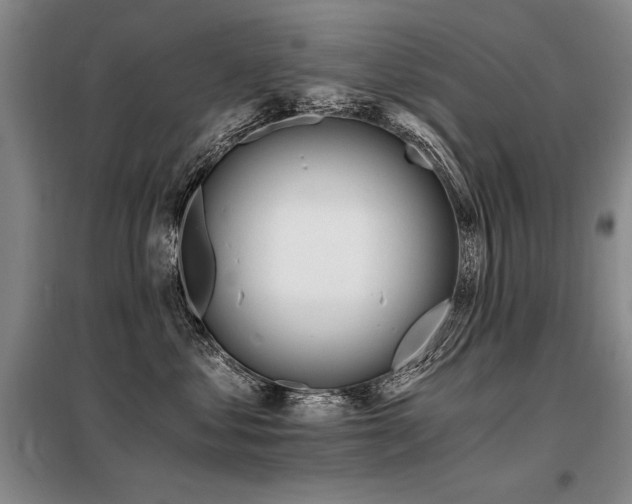 X0000098140621200804171548