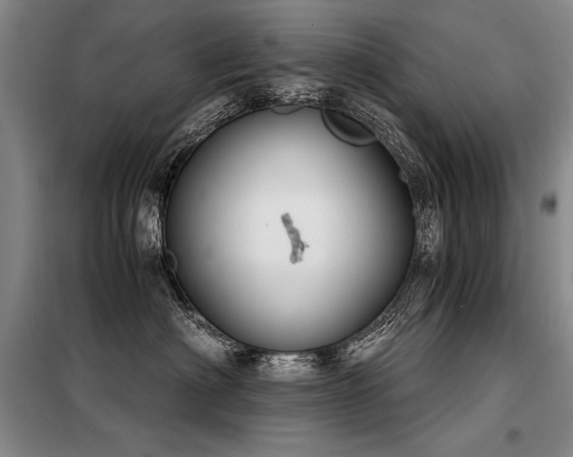 X0000098140622200804171548