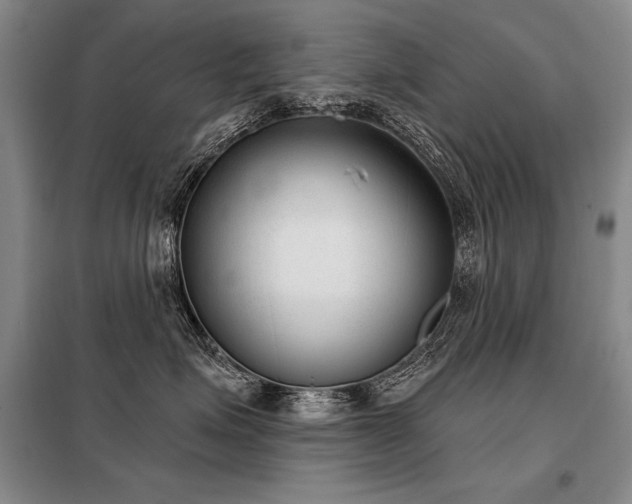 X0000098140623200804171548