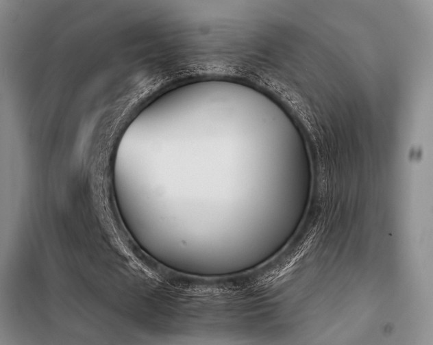 X0000098140625200804171548