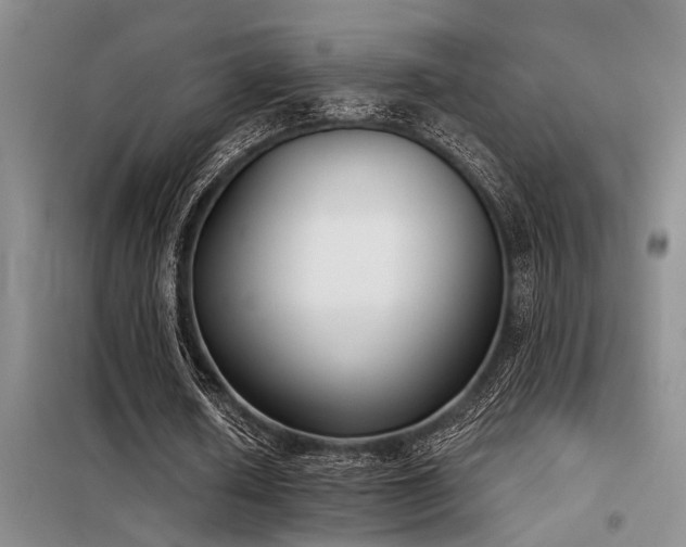 X0000098140626200804171548