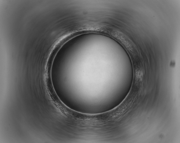 X0000098140628200804171548