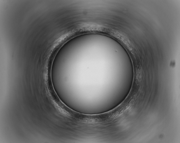 X0000098140629200804171548