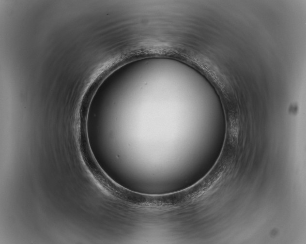 X0000098140630200804171548