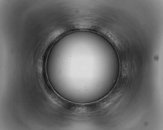 X0000098140631200804171548