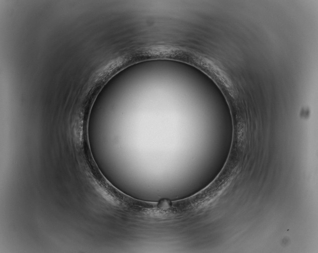 X0000098140633200804171548