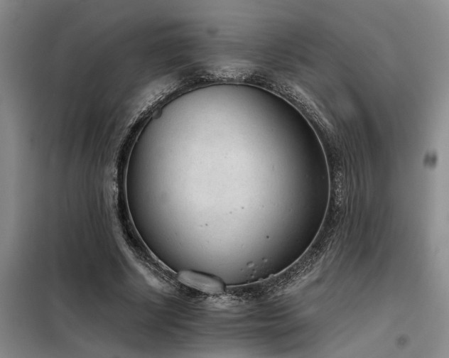 X0000098140634200804171548