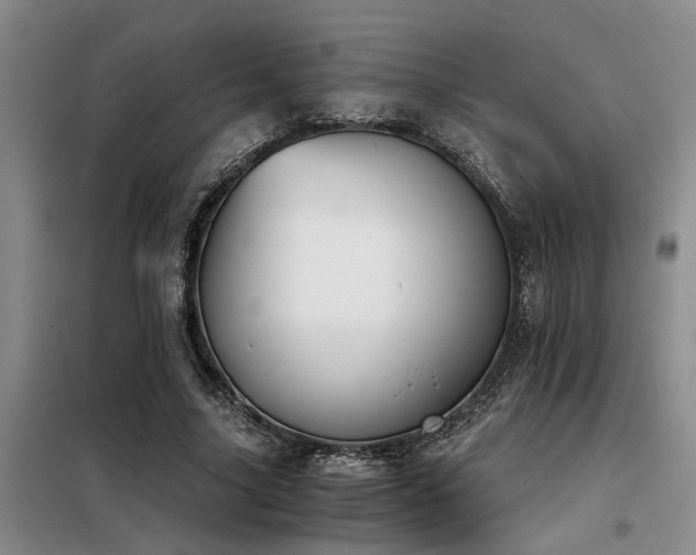 X0000098140635200804171548