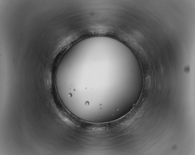 X0000098140638200804171548
