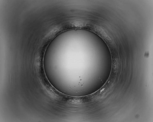 X0000098140639200804171548