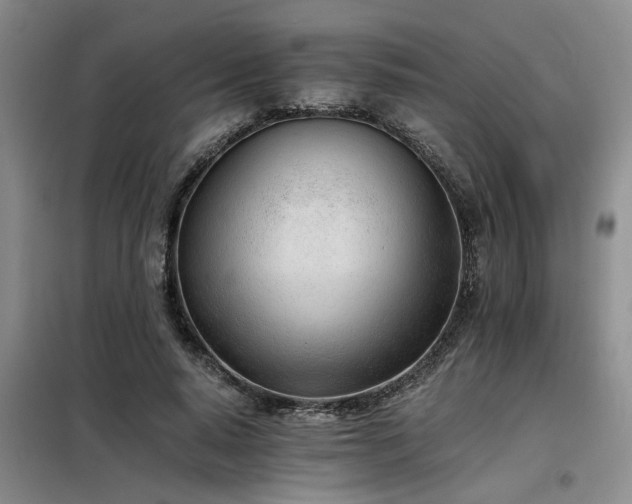 X0000098140640200804171548